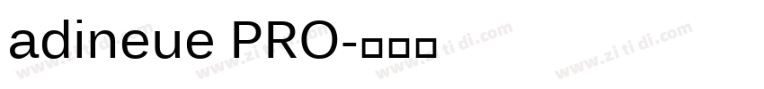 adineue PRO字体转换